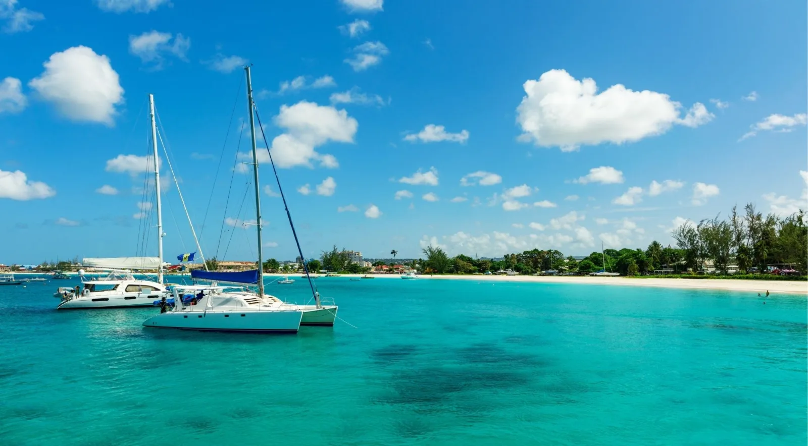 White catamarans anchored off a Barbados beach with the Barbadian flag flying