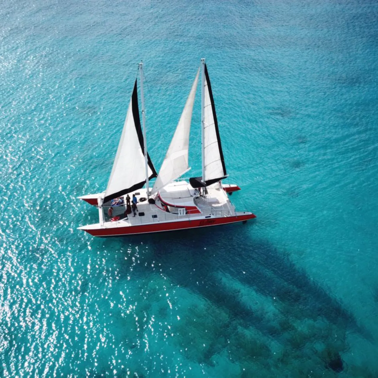 El Tigre's red-hulled catamaran under sail over clear turquoise water off the Barbados west coast