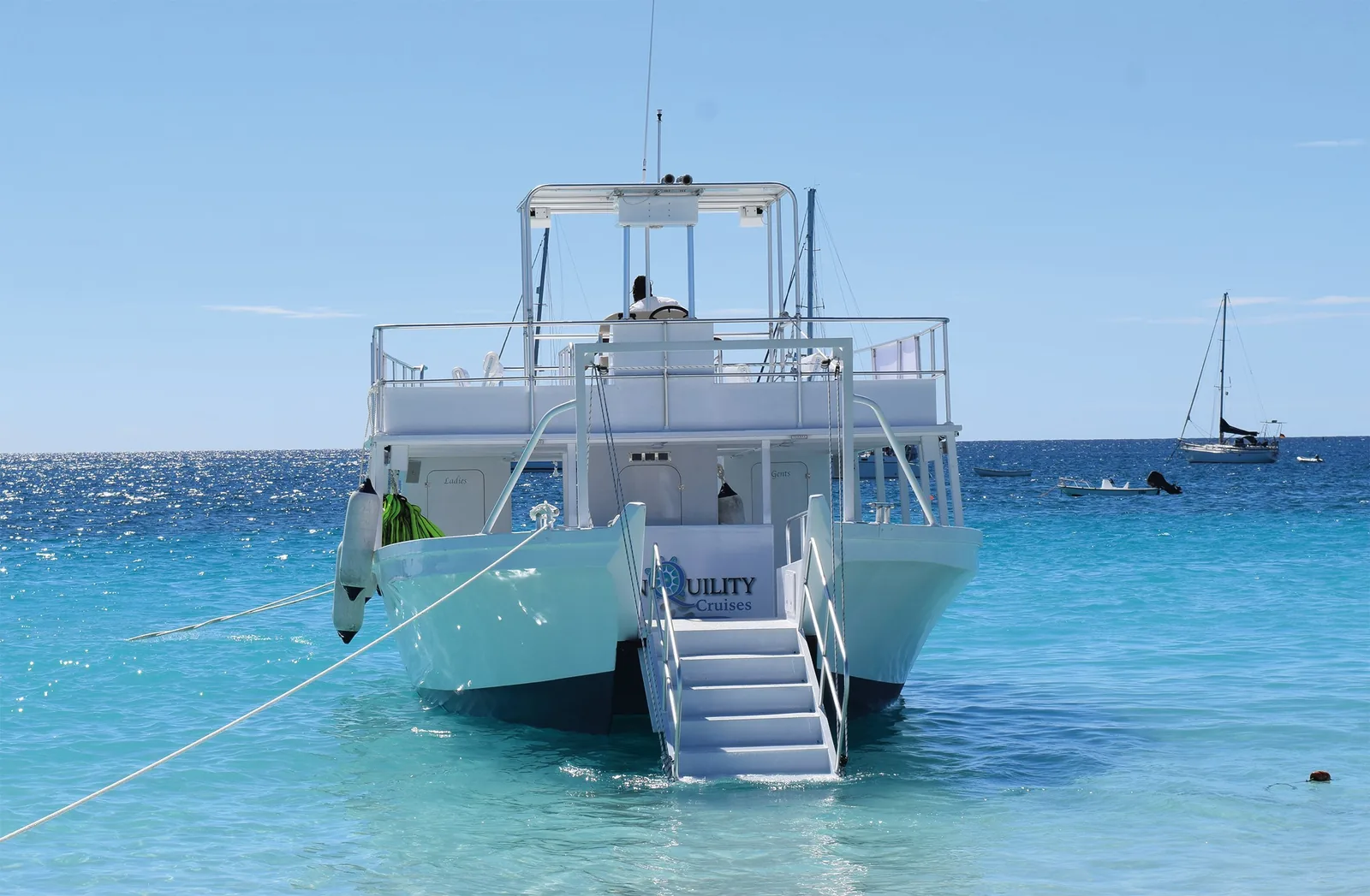 The Tranquility Cruises catamaran moored bow-on in the shallows with its boarding steps down