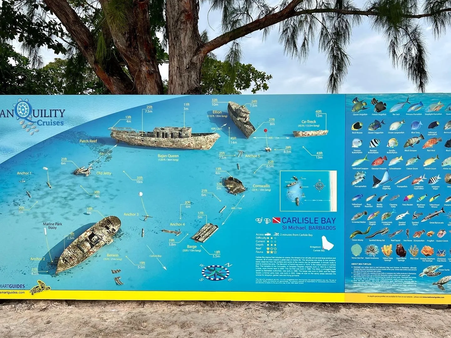The Carlisle Bay Marine Park map board showing the six wrecks, their depths and the reef fish found there