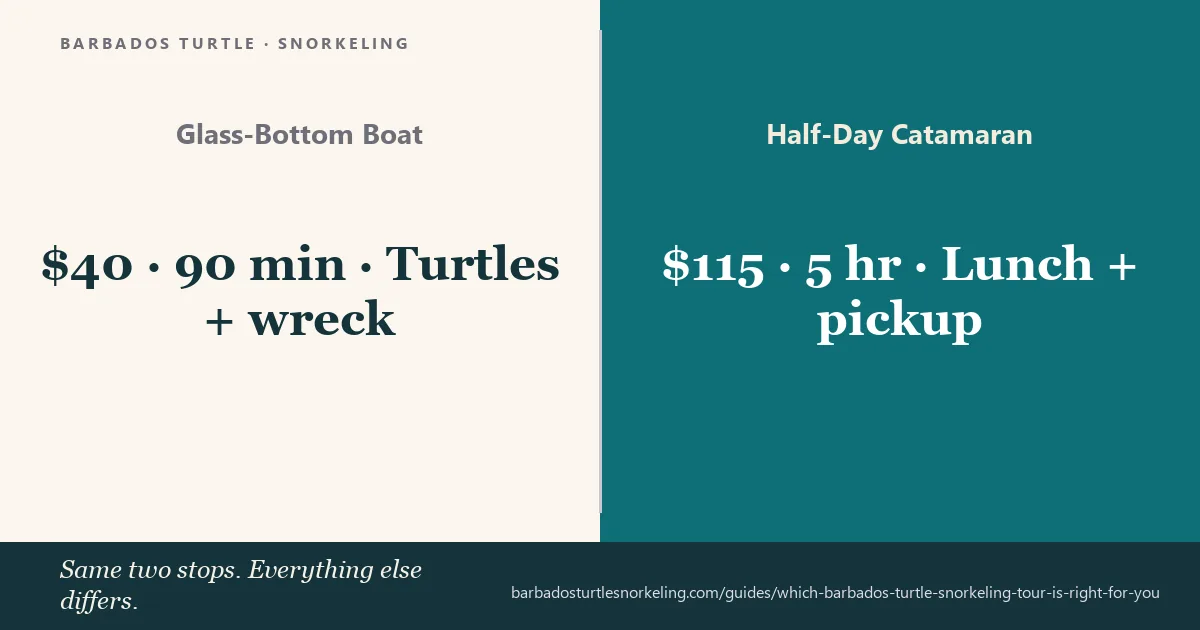 Barbados turtle snorkeling tours compared by price, duration and what is included